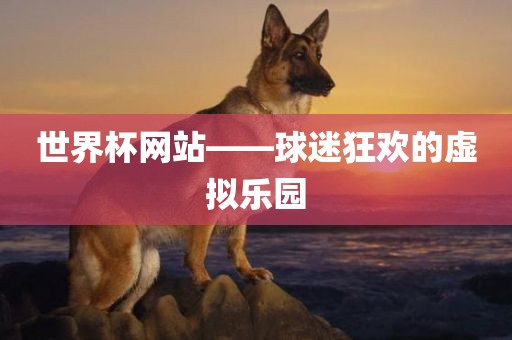 世界杯网站——球迷狂欢的虚拟乐园