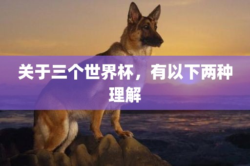 关于三个世界杯，有以下两种理解