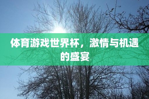 体育游戏世界杯，激情与机遇的盛宴