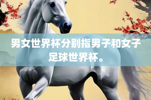 男女世界杯分别指男子和女子足球世界杯。