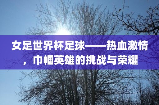 女足世界杯足球——热血激情，巾帼英雄的挑战与荣耀