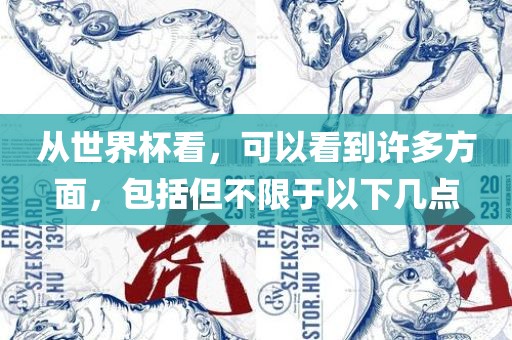 从世界杯看，可以看到许多方面，包括但不限于以下几点