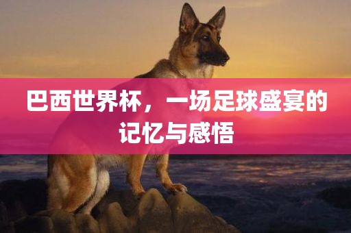 巴西世界杯，一场足球盛宴的记忆与感悟