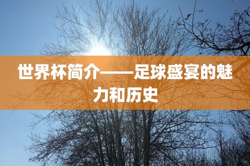 世界杯简吉安市靖泰电力工程有限公司介——足球盛宴的魅力和历史