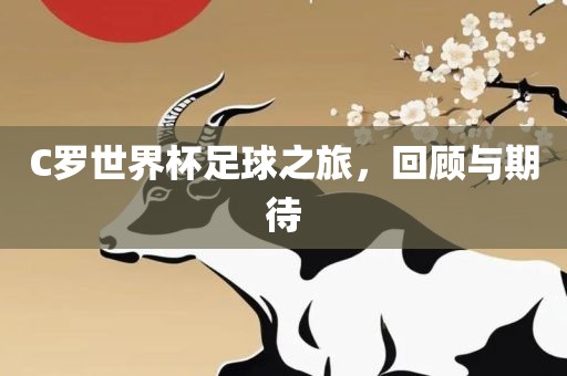 C罗世界杯足球之旅，回顾与期待