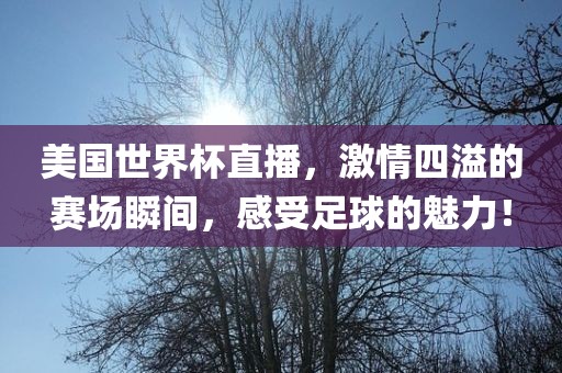 美国世界杯直播，激情四溢的赛场瞬间，感受足球的魅力！