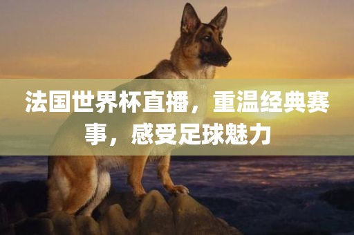 法国世界杯直播，重温经典赛事，感受足球魅力