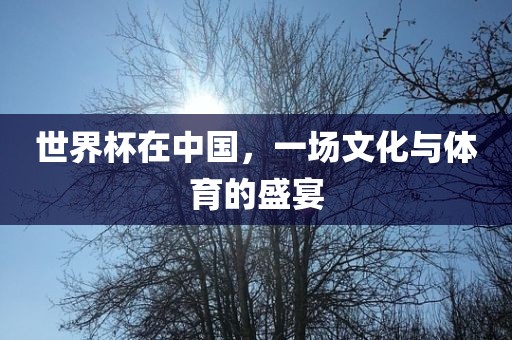 世界杯在中国，一场文化与体育的盛宴