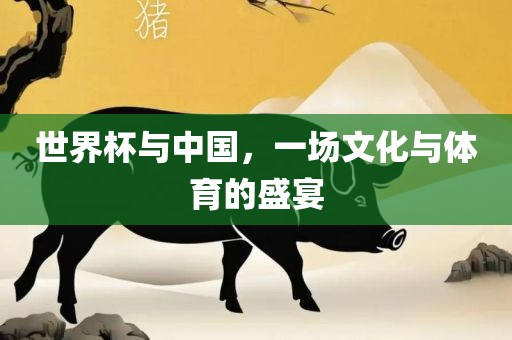 世界杯与中国，一场文化与体育的盛宴