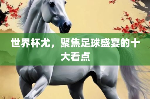 世界杯尤，聚焦足球盛宴的十大看点