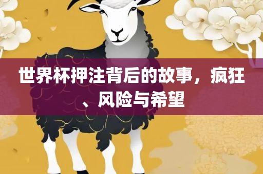 世界杯押注背后的故事，疯狂、风险与希望
