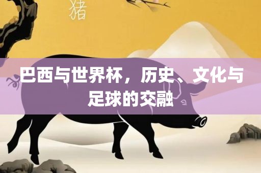 巴西与世界杯，历史、文化与足球的交融