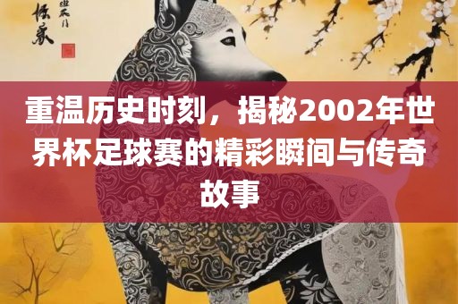 重温历史时刻，揭秘2002年世界杯足球赛的精彩瞬间与传奇故事