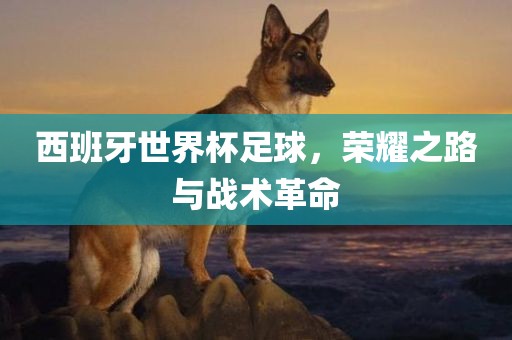 西班牙世界杯足球，荣耀之路与战术革命