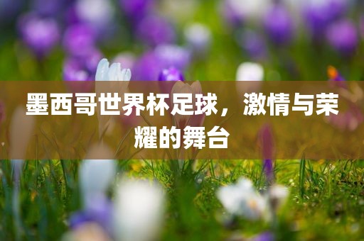 墨西哥世界杯足球，激情与荣耀的舞台