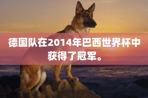 德国队在2014年巴西世界杯中获得了冠军。