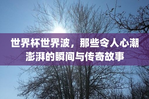 世界杯世界波，那些令人心潮澎湃的瞬间与传奇故事