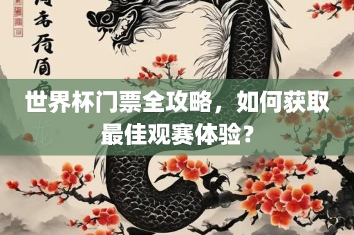世界杯门票全攻略，如何获取最佳观赛体验？