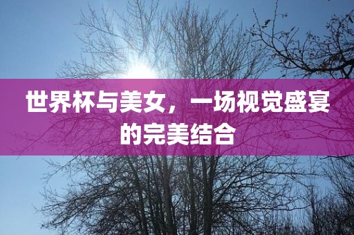 世界杯与美女，一场视觉盛宴的完美结合