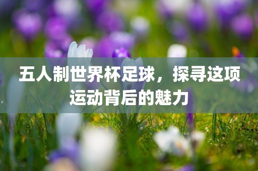 五人制世界杯足球，探寻这项运动背后的魅力