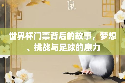 世界杯门票背后的故事，梦想、挑战与足球的魔力