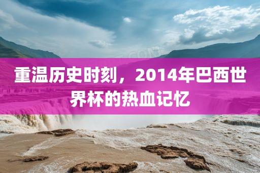 重温历史时刻，2014年巴西世界杯的热血记忆
