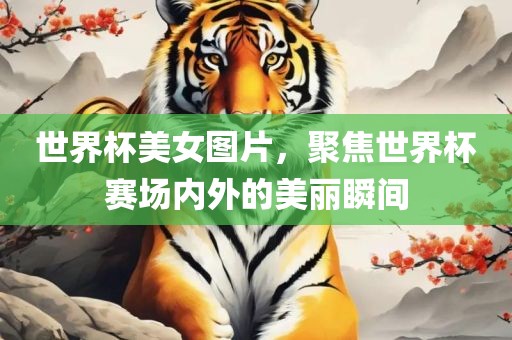 世界杯美女图片，聚焦世界杯赛场内外的美丽瞬间