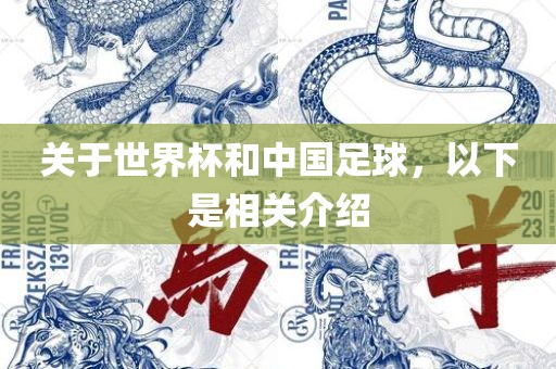 关于世界杯和中国足球，以下是相关介绍