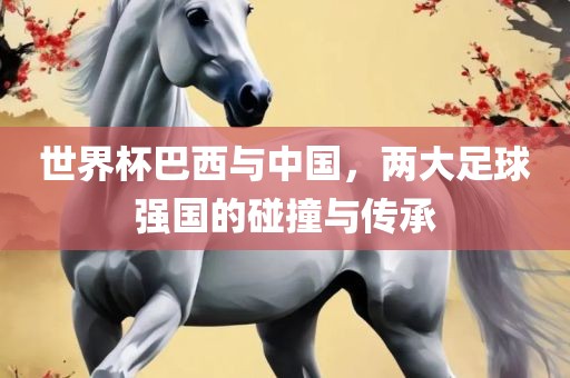 世界杯巴西与中国，两大足球强国的碰撞与传承
