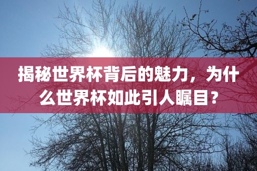 揭秘世界杯背后的魅力，为什么世界杯如此引人瞩目？