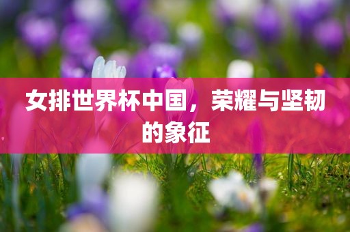 女排世界杯中国，荣耀与坚韧的象征