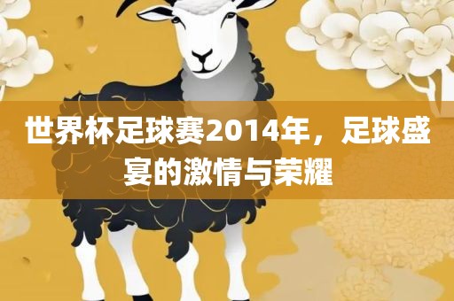 世界杯足球赛2014年，足球盛宴的激情与荣耀