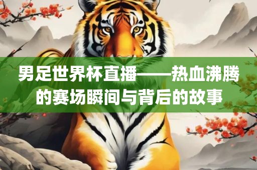 男足世界杯直播——热血沸腾的赛场瞬间与背后的故事