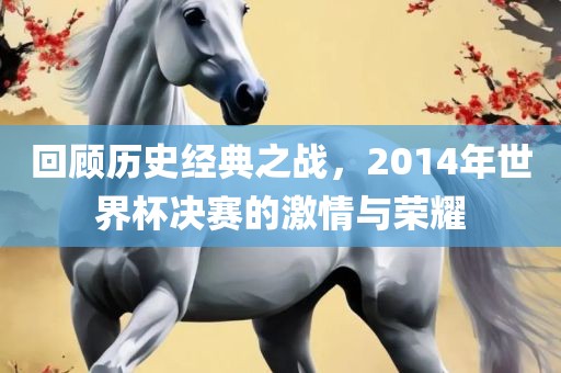 回顾历史经典之战，2014年世界杯决赛的激情与荣耀