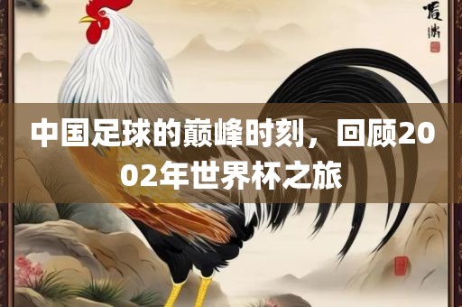 中国足球的巅峰时刻，回顾2002年世界杯之旅