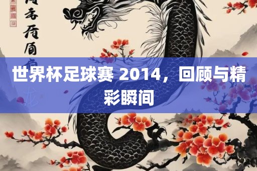 世界杯足球赛 2014，回顾与精彩瞬间