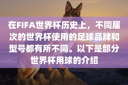 在FIFA世界杯历史上，不同届次的世界杯使用的足球品牌和型号都有所不同。以下是部分世界杯用球的介绍