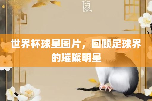 世界杯球星图片，回顾足球界的璀璨明星