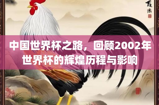 中国世界杯之路，回顾2002年世界杯的辉煌历程与影响