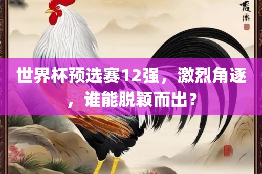 世界杯预选赛12强，激烈角逐，谁能脱颖而出？