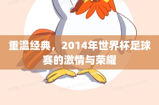 重温经典，2014年世界杯足球赛的激情与荣耀