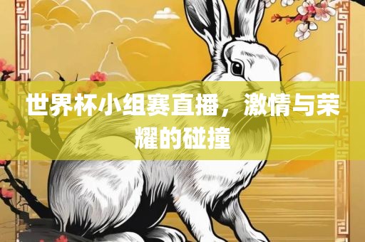 世界杯小组赛直播，激情与荣耀的碰撞