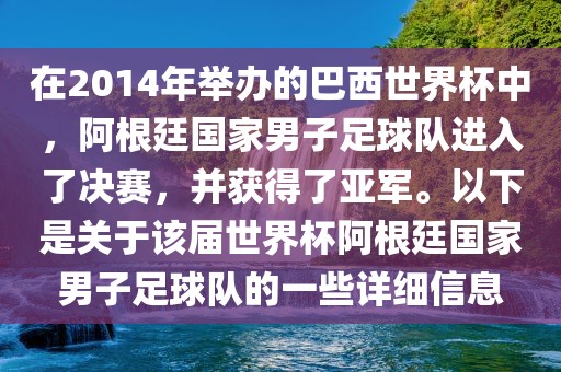 在2014年举办的巴西世界杯中，阿根廷国家男子足球队进入了决赛，并获得了亚军。以下是关于该届世界杯阿根廷国家男子足球队的一些详细信息
