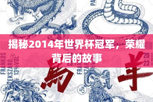 揭秘2014年世界杯冠军，荣耀背后的故事吉安市靖泰电力工程有限公司