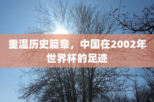 重温历史篇章，中国在2002年世界杯的足迹