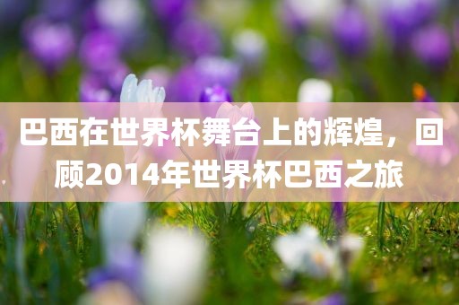 巴西在世界杯舞台上的辉煌，回顾2014年世界杯巴西之旅