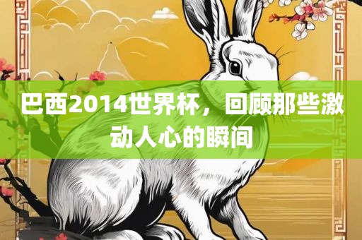 巴西2014世界杯，回顾那些激动人心的瞬间