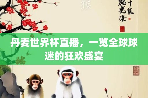 丹麦世界杯直播，一览全球球迷的狂欢盛宴