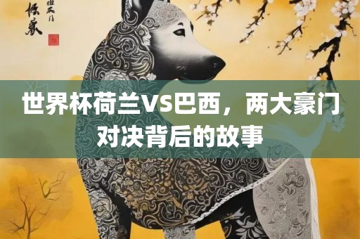 世界杯荷兰VS巴西，两大豪门对决背后的故事