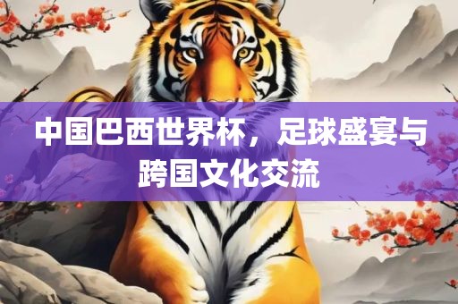 中国巴西世界杯，足球盛宴与跨国文化交流
